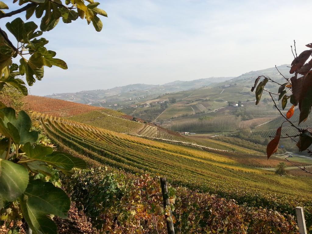Villa Barbero Alba Langhe Mango Екстер'єр фото